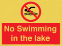 no-swimming-in-the-lake~